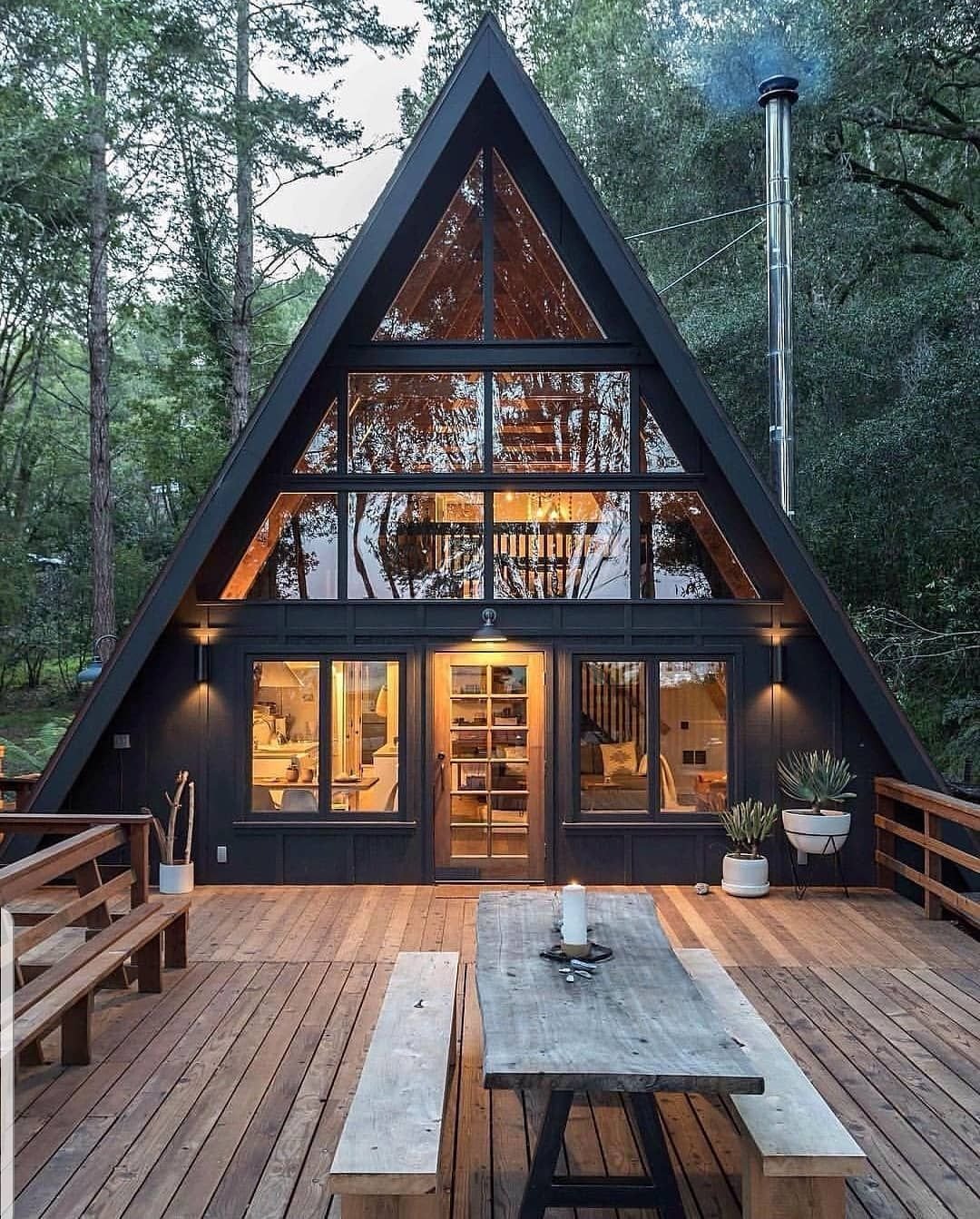 Самый густонаселенный дом в лесу