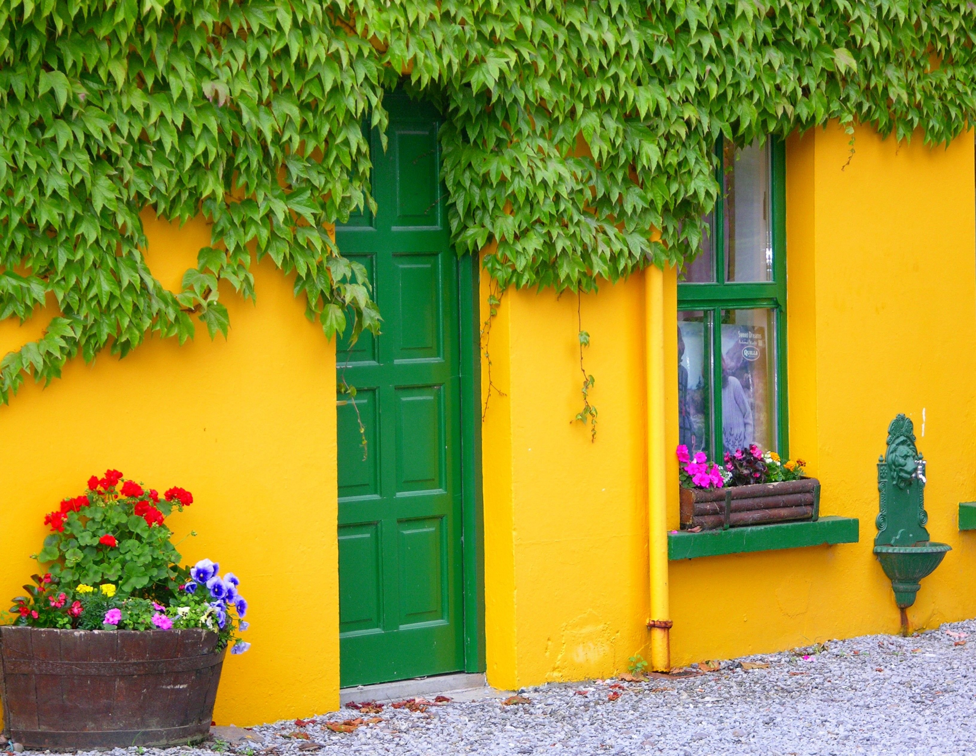 Горчичный сад. Желтый фасад. Разноцветные домики. Яркий фасад дома. Разноцветный дом.