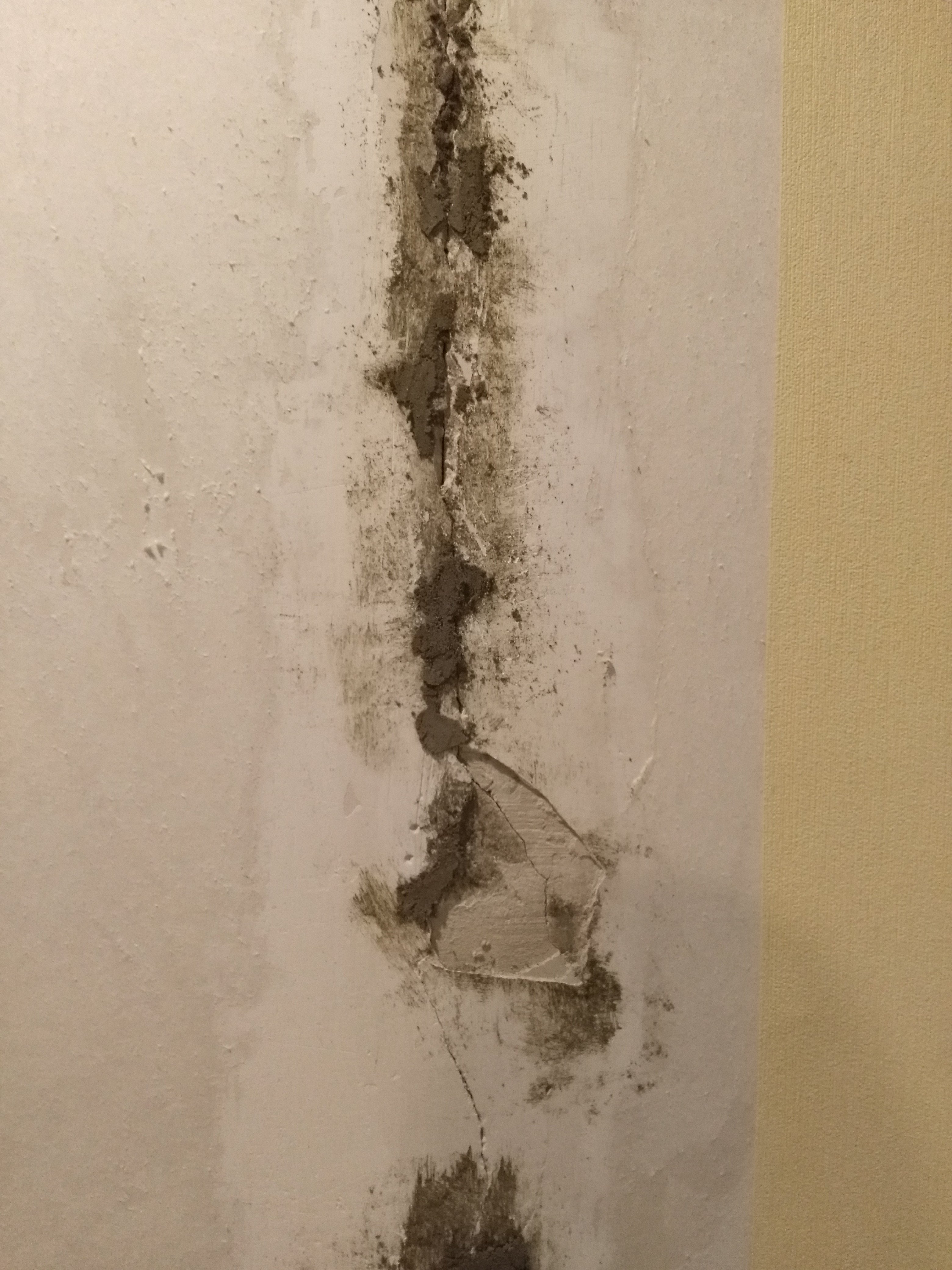 Трещины на стенах в квартире