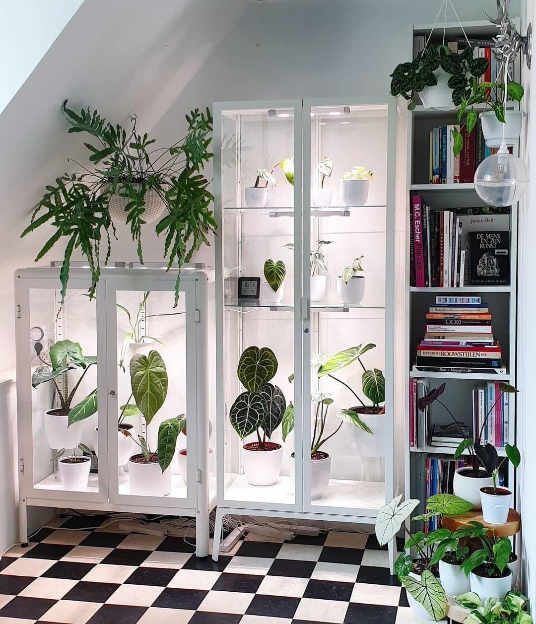 Домашняя витрина. Ikea Greenhouse Cabinet. Икеа Грин Хаус. Икеа Грин Хаус кабинет. Стеллаж для растений.