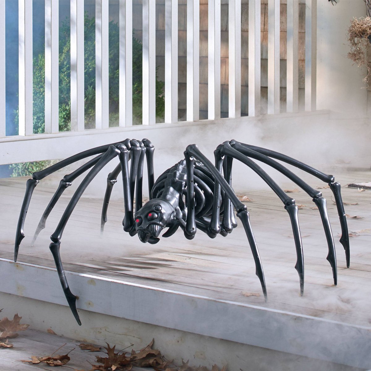 Большой паук в доме