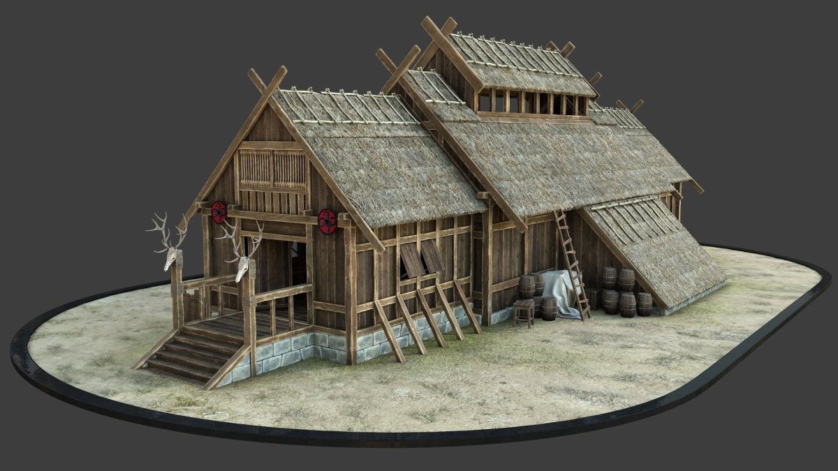 Длинный дом викингов