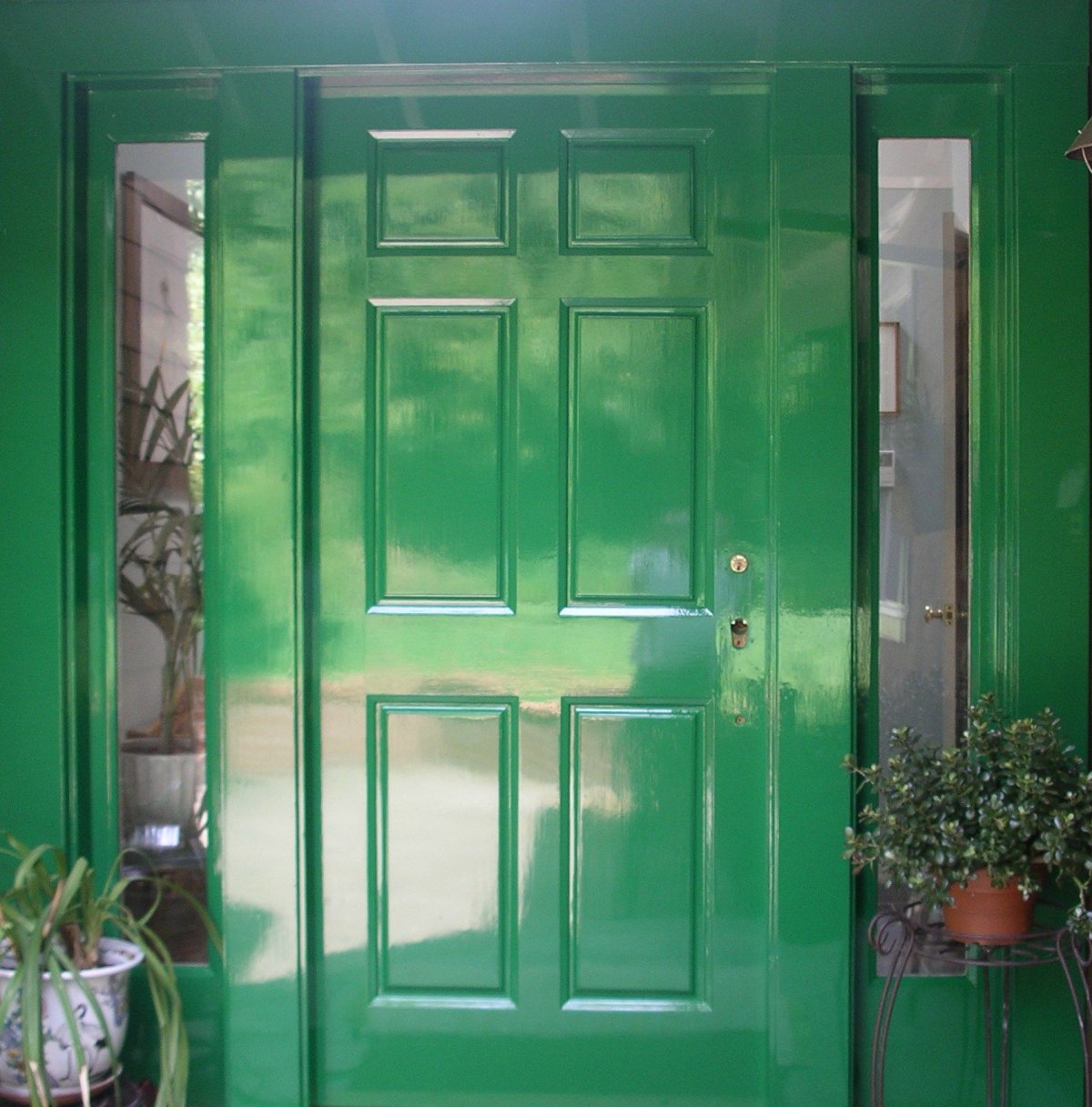 Двери зеленого цвета