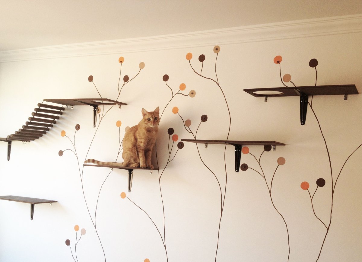 Дерево для кошки в квартире