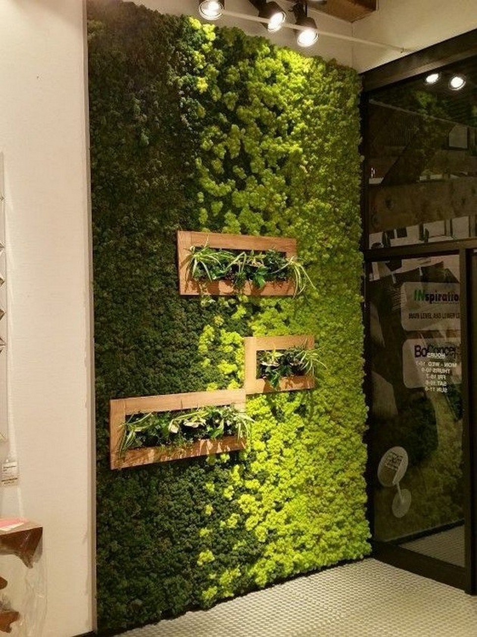Декоративная зелень на стену