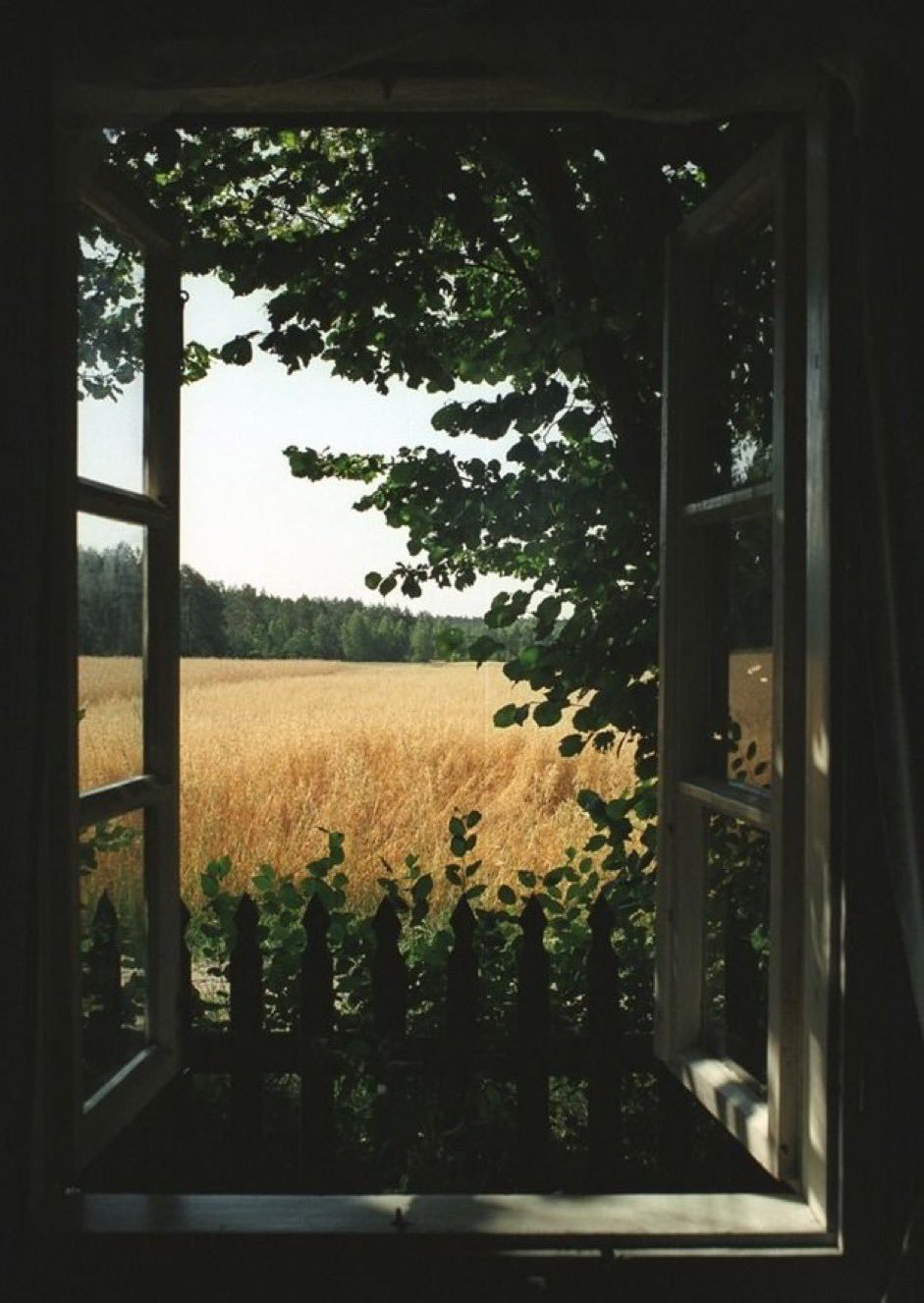 Вид из окна на деревню