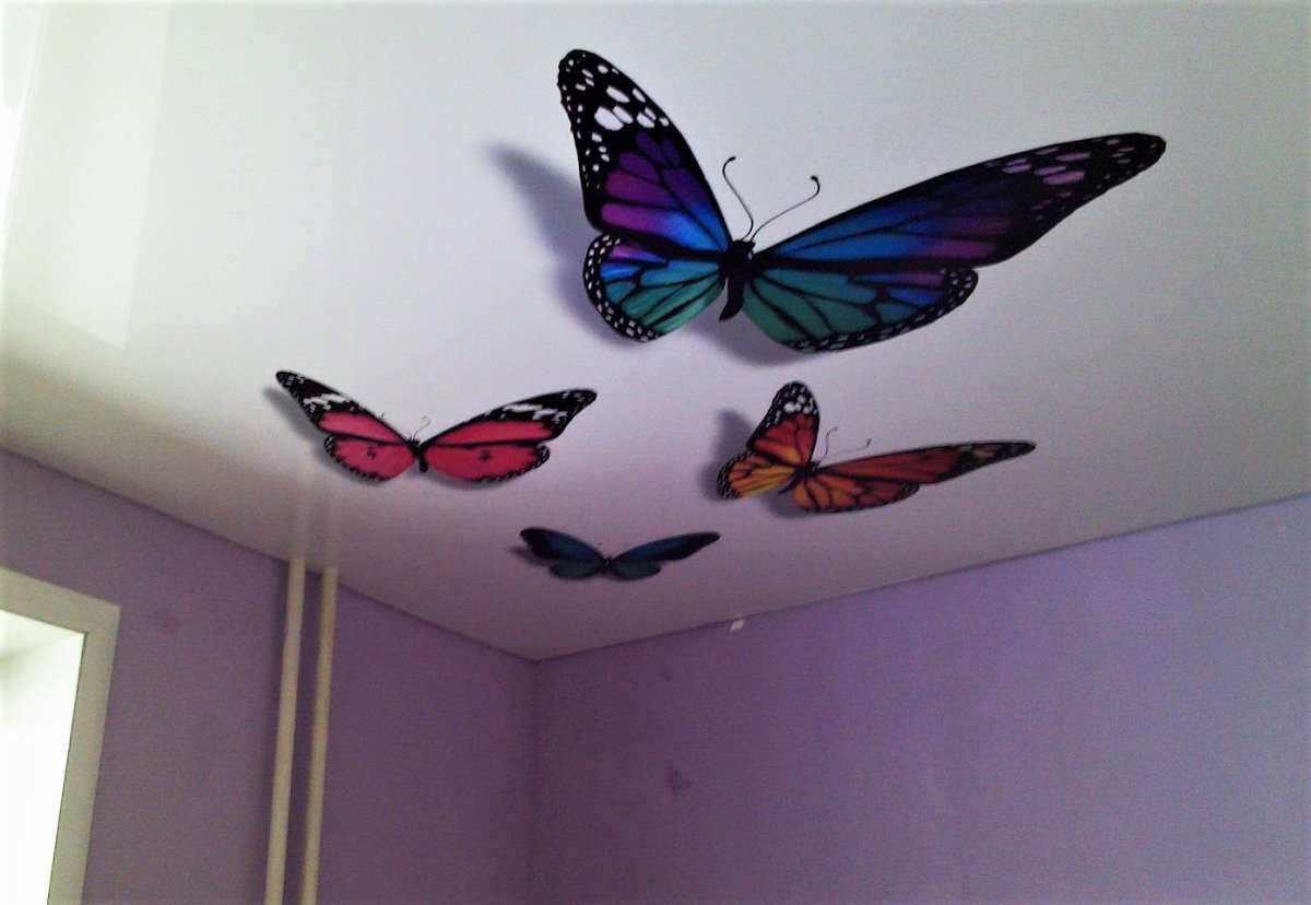 Бабочки на натяжной потолок